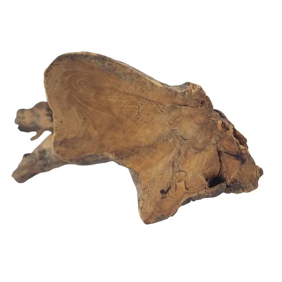 Vintage Hand Carved Spirit Face Tree Branch Wood Folk Art Artist Signed AR 17" - Picture 6 of 7